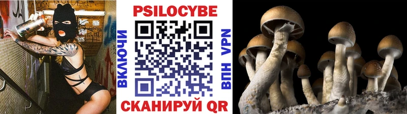 Галлюциногенные грибы мухоморы Абакан